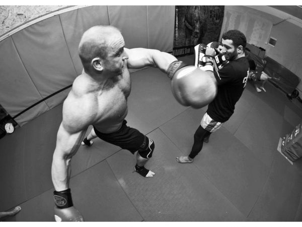 10838136 797884563613538 2988544665445707258 o